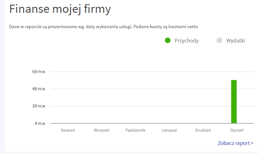 szybka faktura statystyki firmy